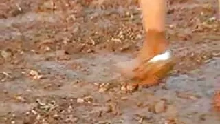 कमिंग जब मालिश उनको बिल्ली मा आफ्नो औंलाहरु लाठी